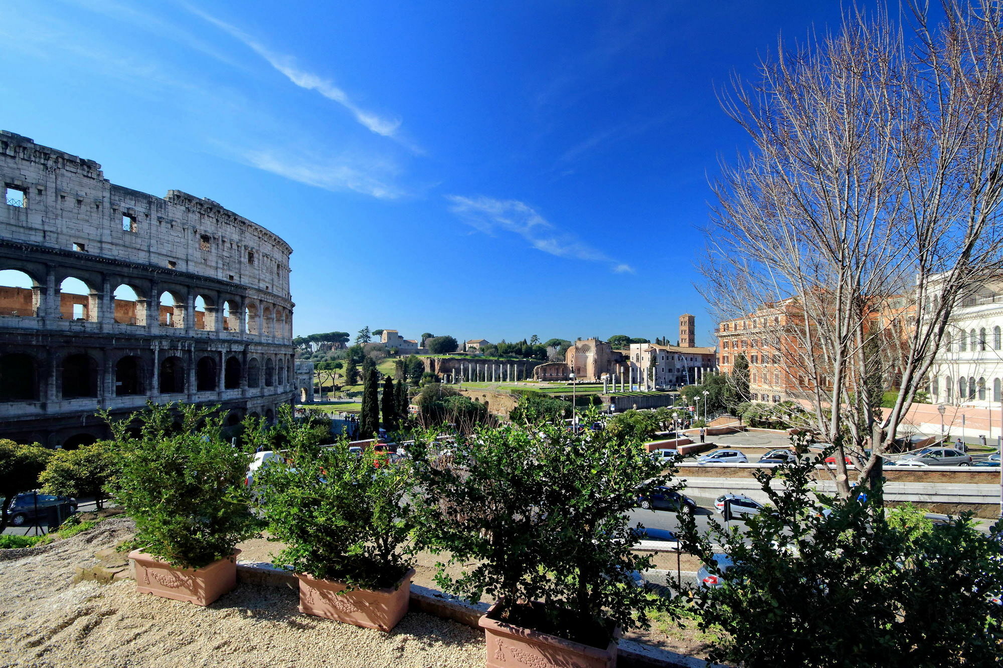 Top Floor Colosseo Guesthouse Rom Exterior foto